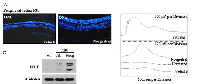 figure 03