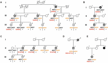 Image Figure 3