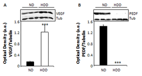 image figure 5