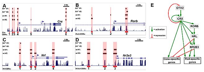 figure 03