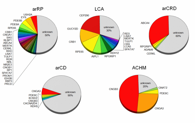 Image Figure 1