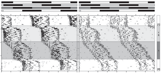 image figure 1