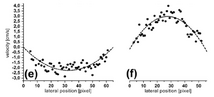 Figure (e) and (f)