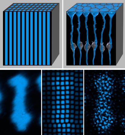 Image Comparison of a retina with a fiber-optic plate (FOP