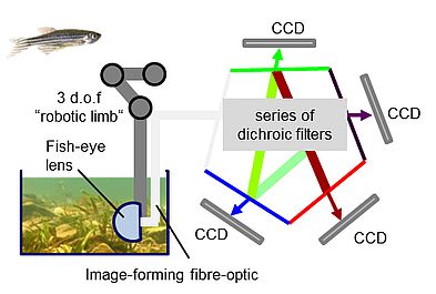 figure 02