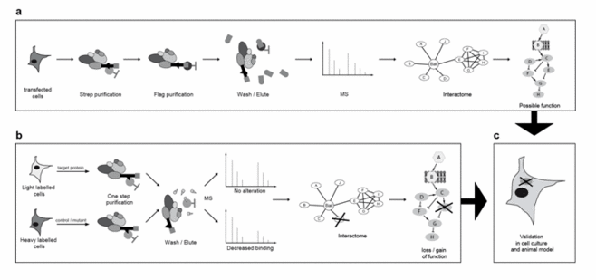 Figure 01