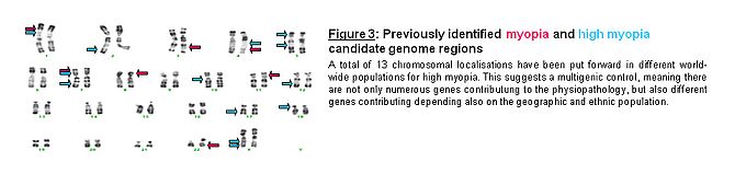 Image Figure 3